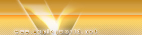 xSpicyWord.net - Logo