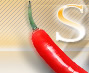 xSpicyWord.net - Logo