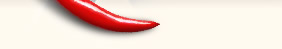 xSpicyWord.net - Logo